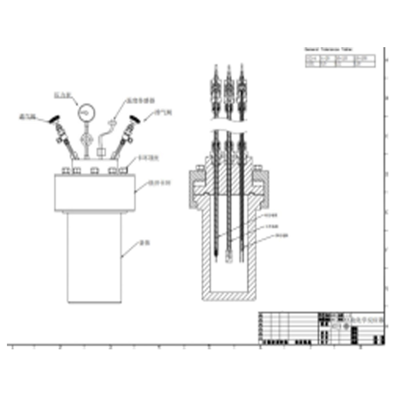 高壓高溫電化學反應釜